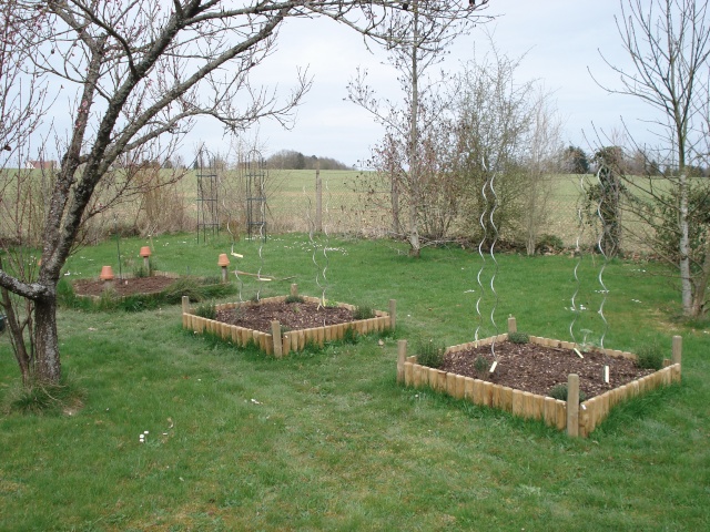 le jardin de Giroflée 2 Jardin26