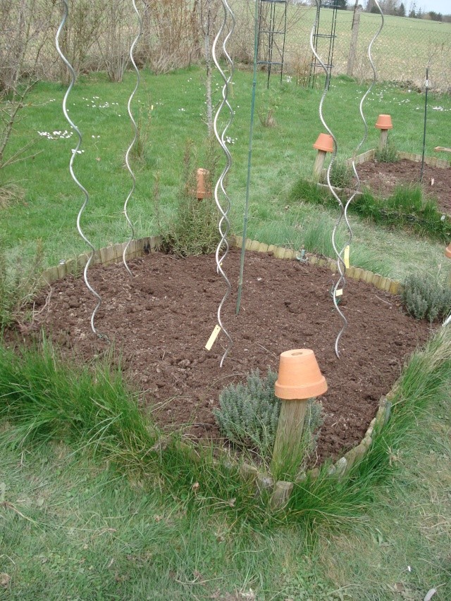 le jardin de Giroflée 2 Jardin27