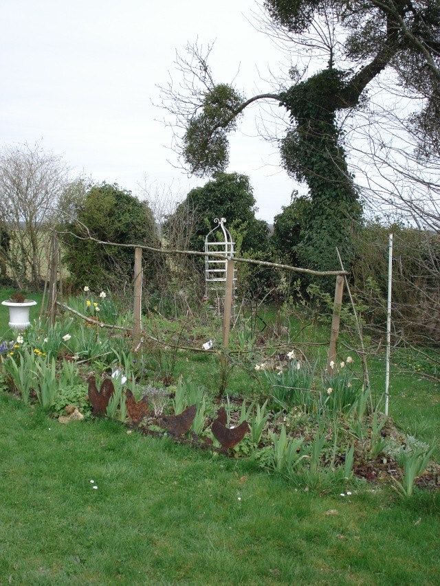 le jardin de Giroflée 2 Jardin30