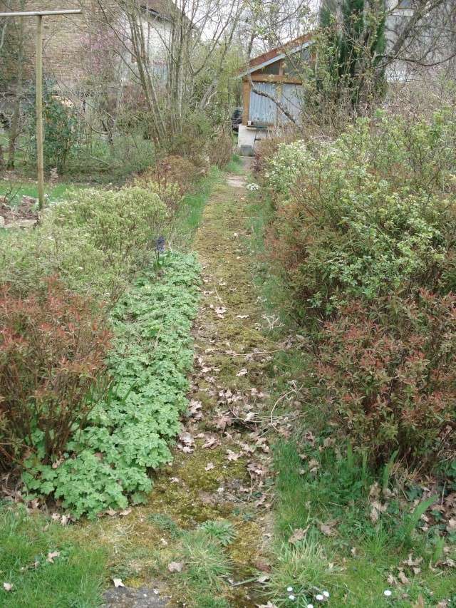 le jardin de Giroflée 2 Jardin47
