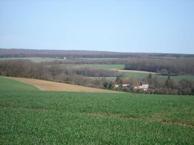 ballade autour de chez moi Motte_58