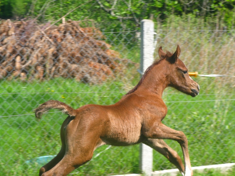 Encore une fille !!!! Img_0711