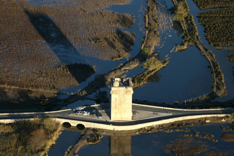 La Camargue Img_0713