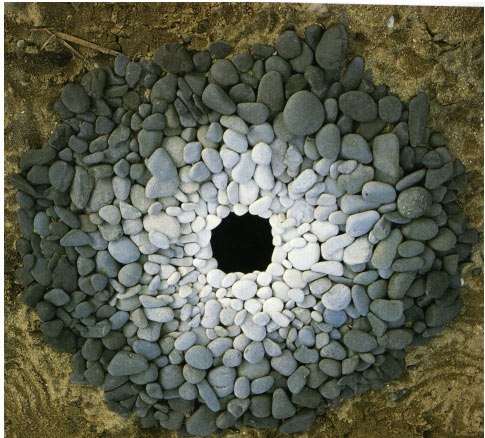 Andy Goldsworthy Andy-g10