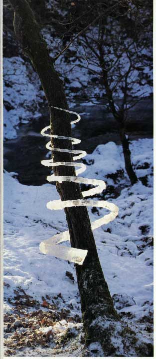 Andy Goldsworthy Gold_t10