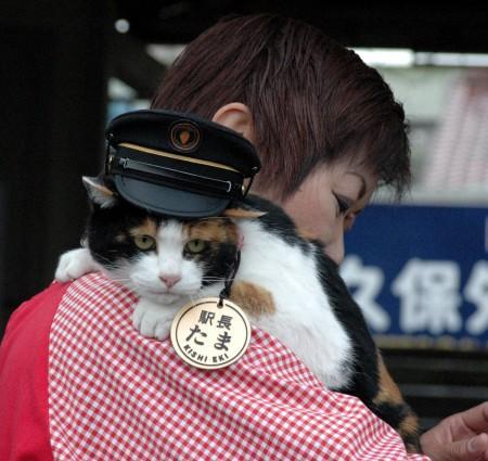 Stationmaster Cat Tama10