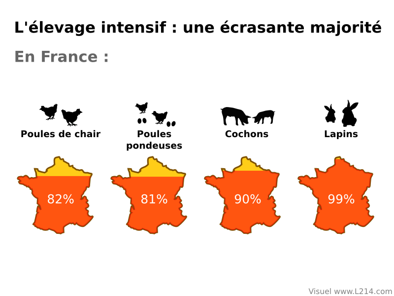 % de l'élevage intensif en France  Elevag11