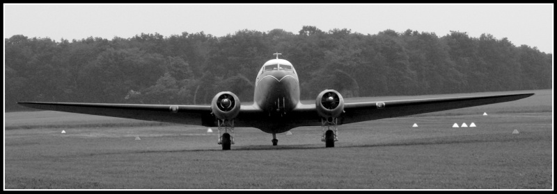 Warbirds - Ferté Alais 2008 P1030614