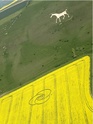 Origine crop circles ? Agrogl13