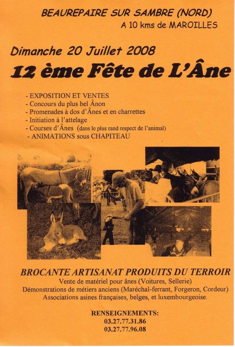 fête de l'âne chez les ch'tis Sans_t10