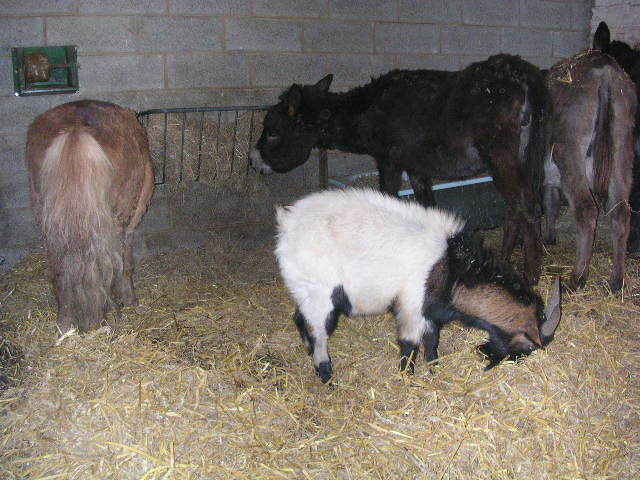 léo de nouchka chez raffy Vacanc16