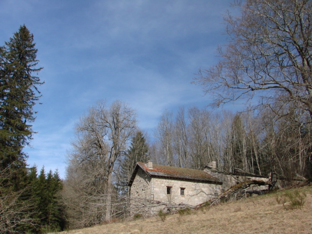 Le temps  Madelonnet du mois de Mars 2008 126