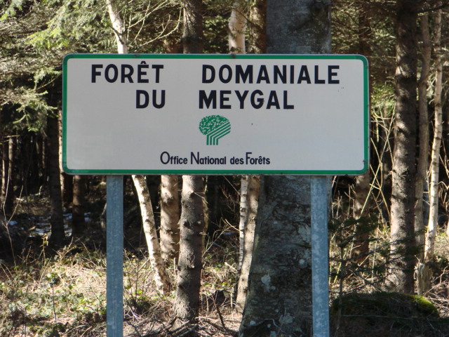 Photos du Mont Meygal en Haute Loire (43) 416