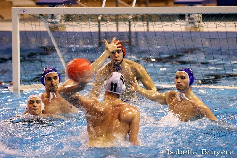 Water Polo (Elite) Img_4410