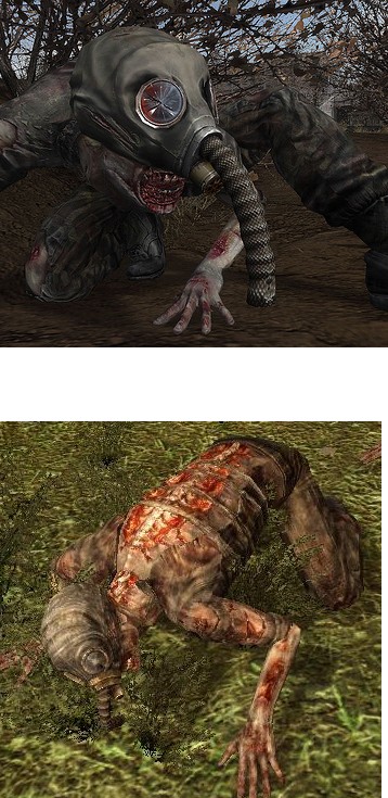 (Denis SIMON) S.T.A.L.K.E.R quatrième expériences Snork10