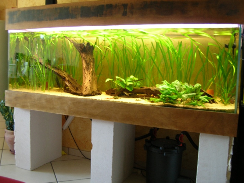 vends aquarium de 840 L complet Dscn4011