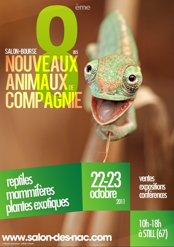 8ème salon des nouveaux animaux de compagnie  Affich18