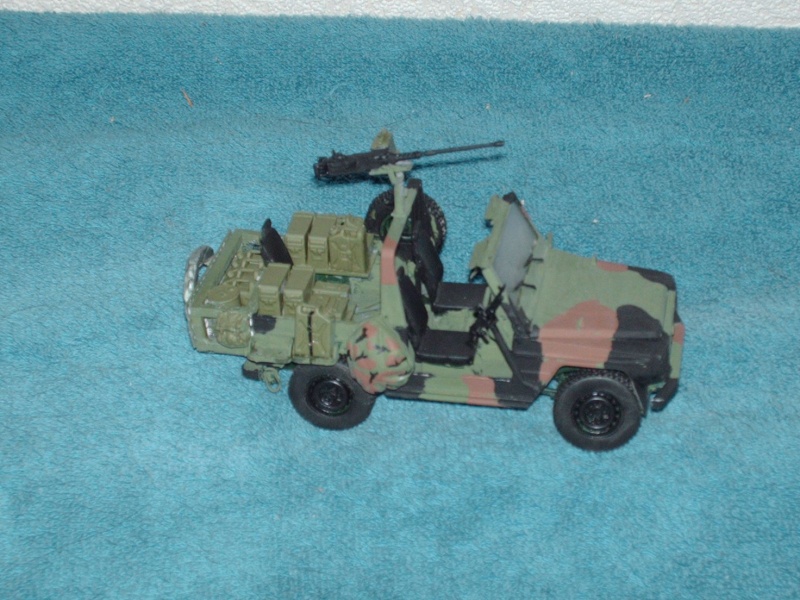 wolf/P4 revell Hpim3043