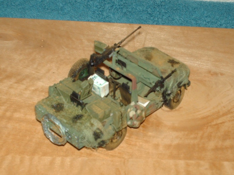 wolf/P4 revell - Page 2 Hpim3068