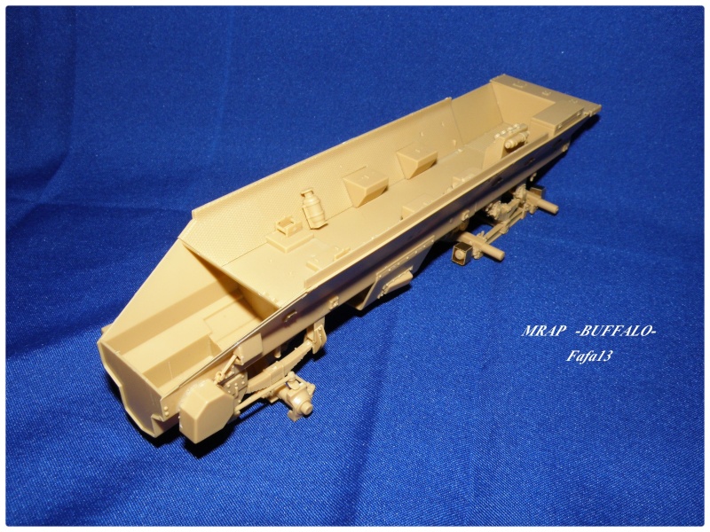 MRAP buffalo ADT P6280012