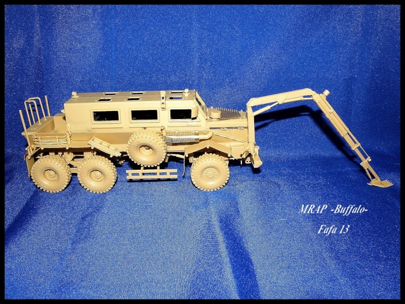 MRAP buffalo ADT - Page 2 P7220023