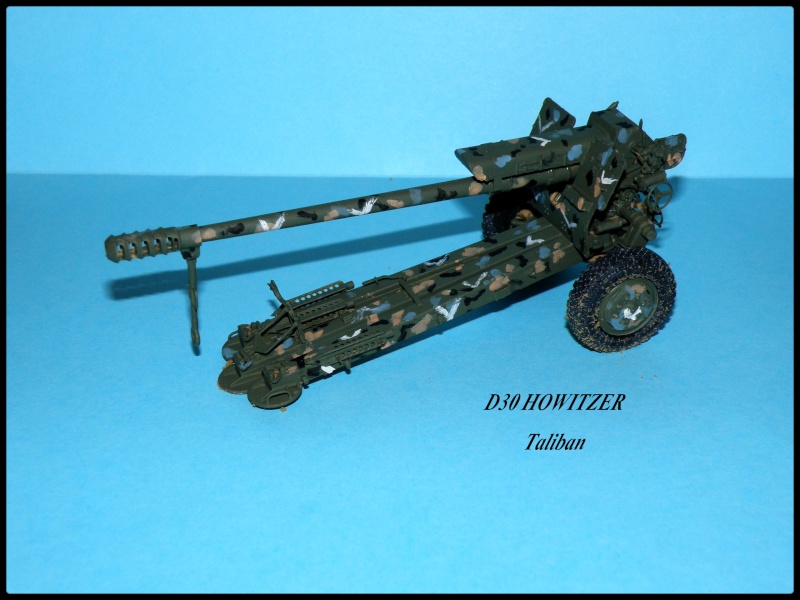 D30 early  1/35e trumpeter Pb120010