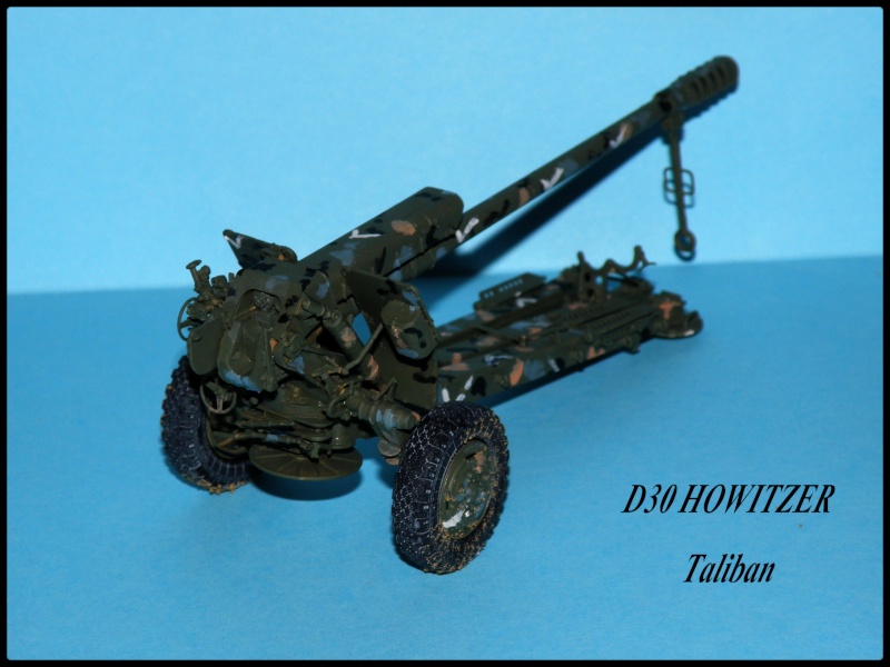 D30 early  1/35e trumpeter Pb120013