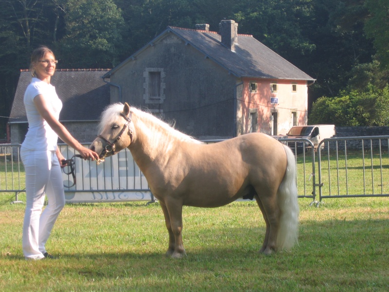 Combien toise le poney Img_0011