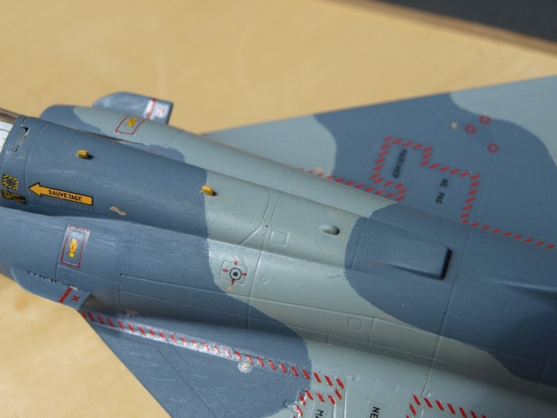 [Italeri] Mirage 2000C P1011126
