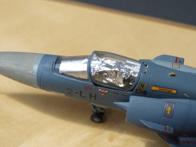 [Italeri] Mirage 2000C P1011127
