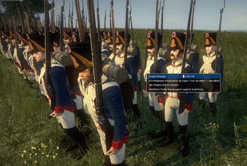 Napoleonic: Total War III (Beta) 57eme_10