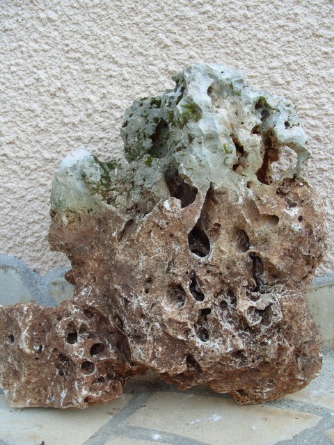 Pierres volcaniques S1051118