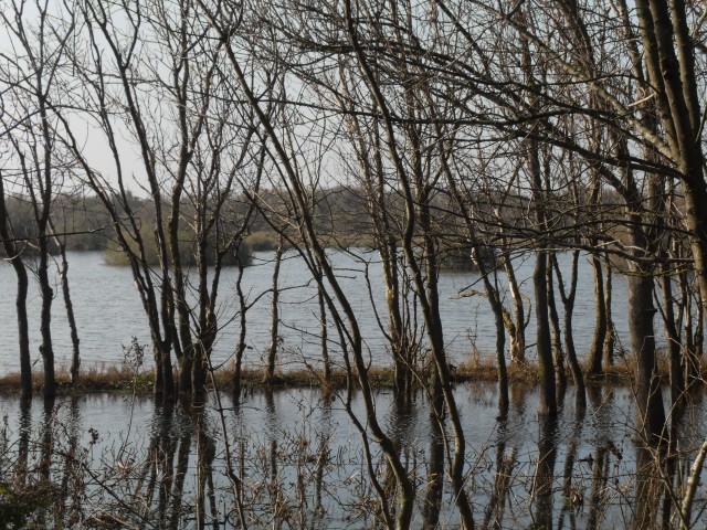 Sur les bords du Canal du Midi Sdc10152