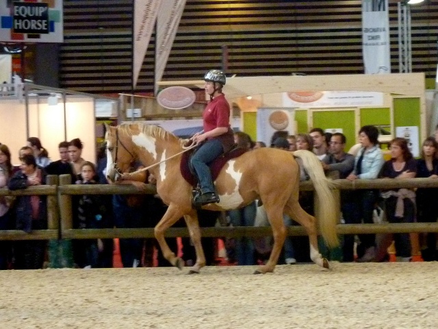 championnat de france du barbe EQUITA LYON 2011(26/10/11) - Page 2 P1090616