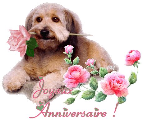 Joyeux Anniversaire Adeline Joyeux Anniversaire Adeline