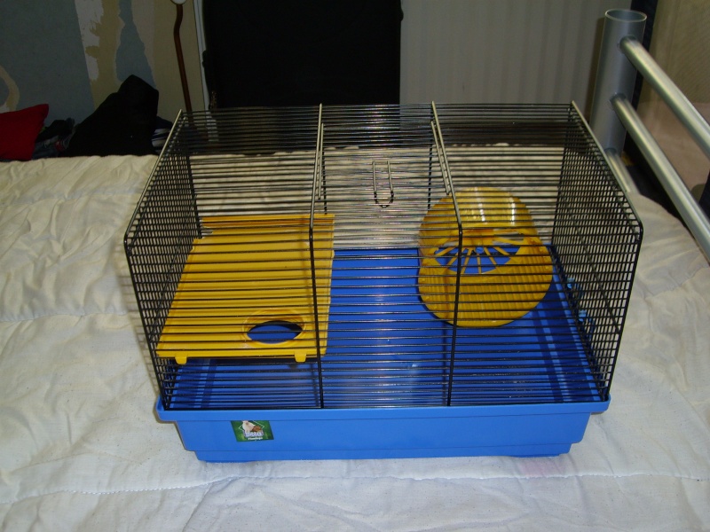 vend cage a petit prix Sl701422