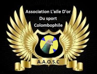 Association L'aile D'or Du Sport Colombophile à Salé Ailedo10