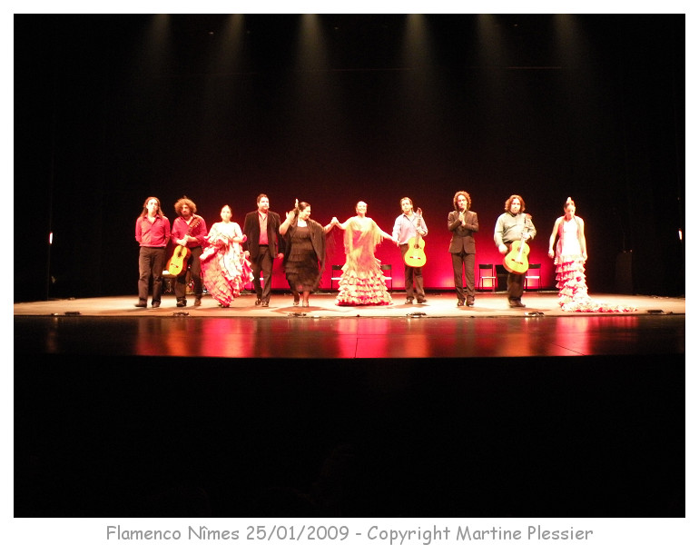 festival de flamenco janvier 09 à Nimes Dscn3211