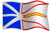 Les drapeaux francophone international Divers20