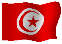 Découvrir La Tunisie Tunisi10