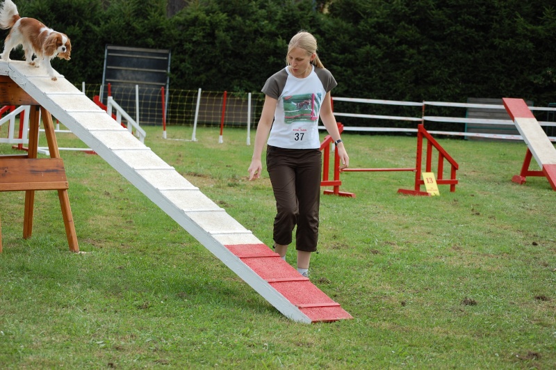 Photos d'agility Savern11