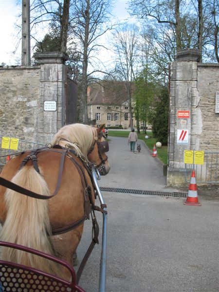 Journée Attelage de Loisirs le 13 avril à Dolomieu 08-04-19