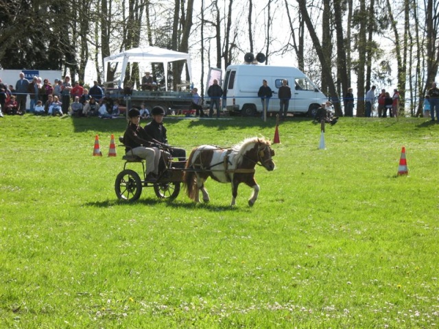 Journée Attelage de Loisirs le 13 avril à Dolomieu 08-04-23