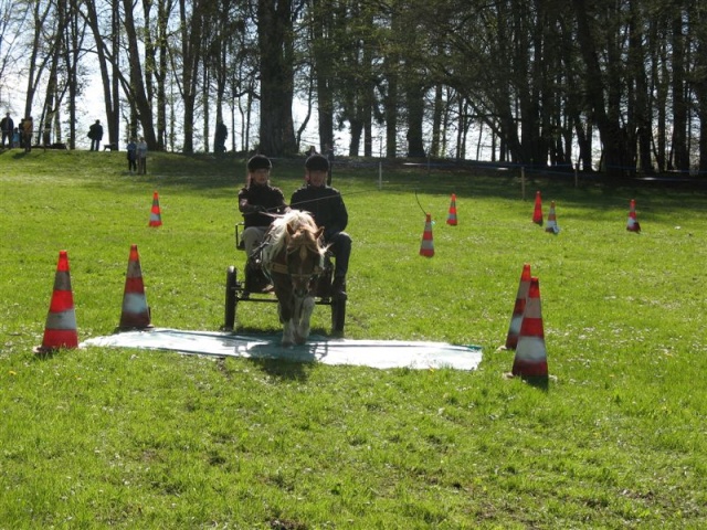 Journée Attelage de Loisirs le 13 avril à Dolomieu 08-04-24