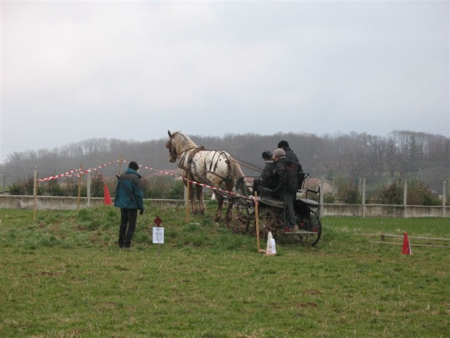 Trec en attelage le 23 mars 2008 à Saint Hilaire de la côte - Page 2 Photo_17