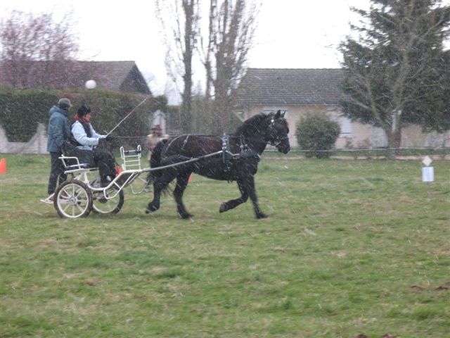 Trec en attelage le 23 mars 2008 à Saint Hilaire de la côte - Page 2 Photo_18