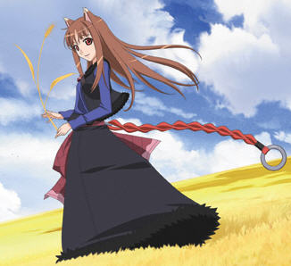 spice and wolf 595510