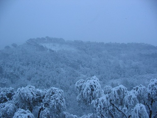 ANDORA VISTA DA ME Neveac10