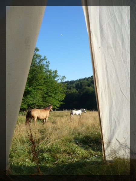 RANDO BONNEVAUX SEMAINE DU 14 JUILLET P1000026