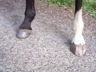 RDG - 2eme parage et des pieds de rêves P27jui10